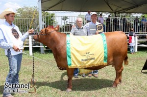 A Expo Rio Preto premiou, na tarde do último sábado (13), os animais destaque da Raça Angus, assim como seus ...