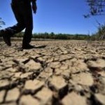 A fome, sede, seca e as perdas agrícolas enfrentadas, anualmente, por quase 20 milhões de brasileiros que vivem no Semiárido ...