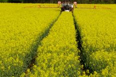 Apenas 660 comerciantes de agrotóxicos dos 1057 existentes em Minas Gerais enviaram, dentro do prazo, ao Instituto Mineiro de Agropecuária ...