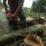 A Justiça Federal proibiu o Instituto Nacional de Colonização e Reforma Agrária (Incra) de criar novos assentamentos sem regularização ambiental ...