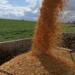 O saldo da balança comercial do agronegócio cresceu 3,1%, para US$ 67,3 bilhões, no acumulado de janeiro a outubro de ...