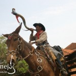 Amigos do Sertanejo Oficial e amantes da música sertaneja hoje vamos conhecer um pouco do que é o berrante, berranteiro, ...