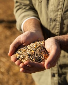 Com um cenário desafiador em 2024, a agricultura brasileira mostra resiliência e promete uma recuperação significativa em 2025.