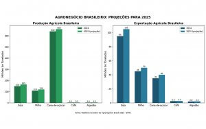 Agronegócio Brasileiro: Safra Recorde a vista